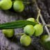 organic extra virgin olive oil
